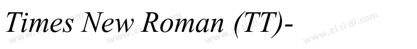 Times New Roman (TT)字体转换